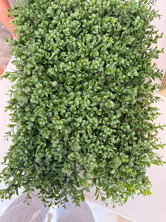 24" x 19"L Boxwood mat