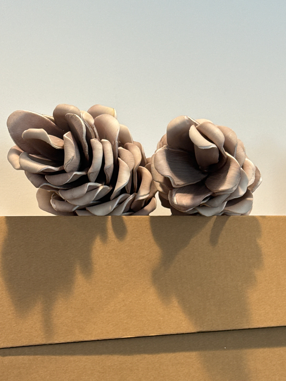 18" Foam pincone